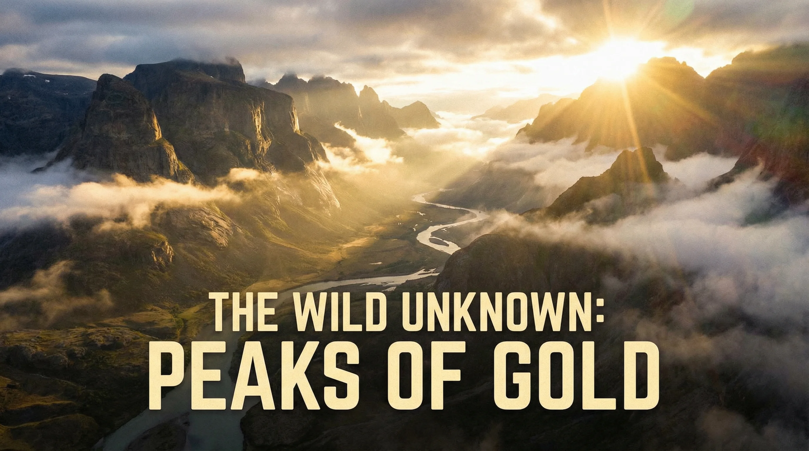 蘑菇视频自然纪录片